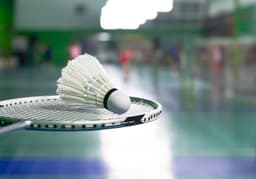 Shuttlecock on badminton racket